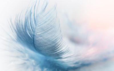 Avant de me souvenir…je me demandais comment on pouvait y survivre à ça”….Chantal 41 ans, plus de 30 ans d’amnésie traumatique